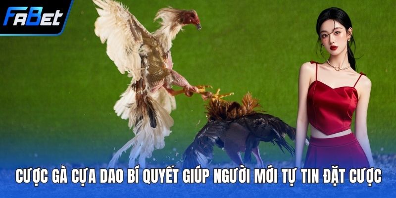 Cược gà cựa dao